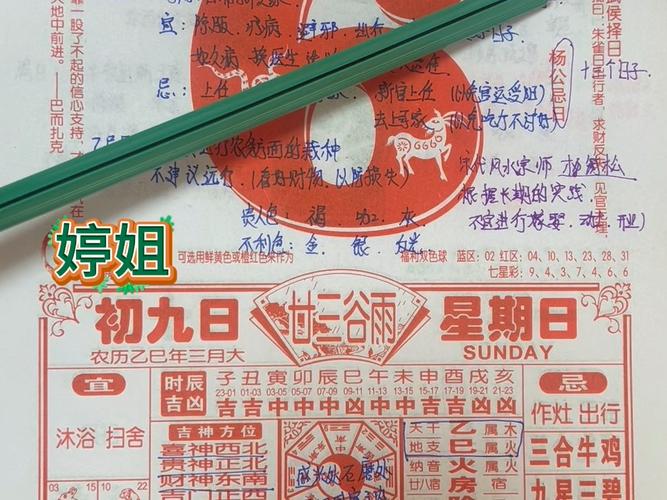 精準獲取：2025白小姐開獎結(jié)果查詢?nèi)ヂ耘c權(quán)威解讀