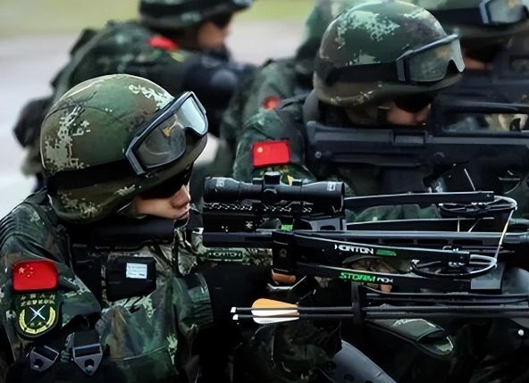 咖啡館深談：解碼中國(guó)人民武裝警察部隊(duì)組織機(jī)構(gòu)圖的演變與力量