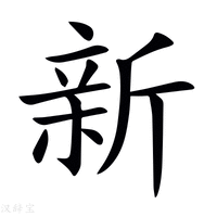 新澳門今晚開獎結果號碼查詢表深度解析：掌握精準與實時獲取之道
