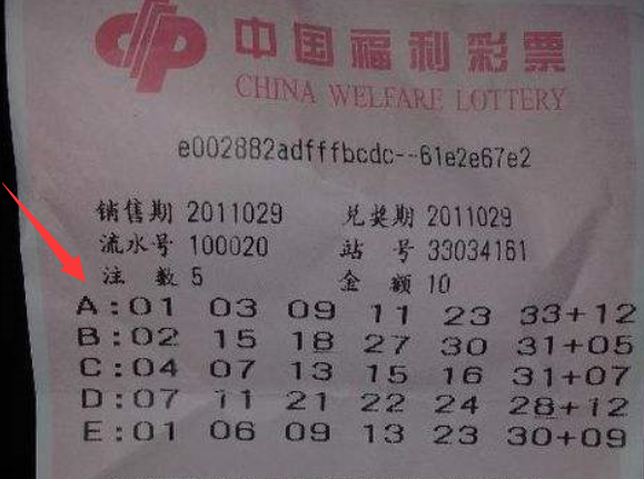 探秘王中王493333中特馬特色：數(shù)字謎團(tuán)的邊境對話