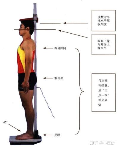譚松韻身高對比:深度解析其官方數(shù)據(jù)與視覺反差的奧秘