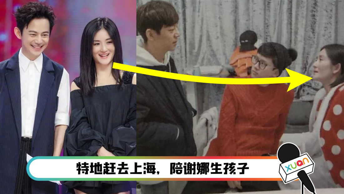 謝娜生了幾個(gè)寶寶是男是女？深度解析其幸福家庭的秘密與育兒點(diǎn)滴
