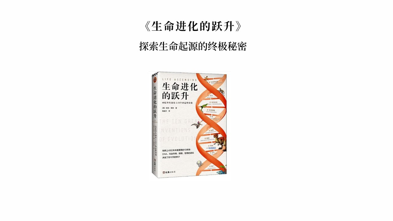 探秘數字邊境:77777788888王中王與未來社會的深層博弈