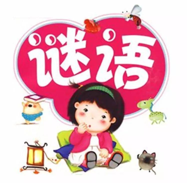 葡京巷陌奇遇：破解新澳門天天免費精準(zhǔn)大全謎語的文化回響
