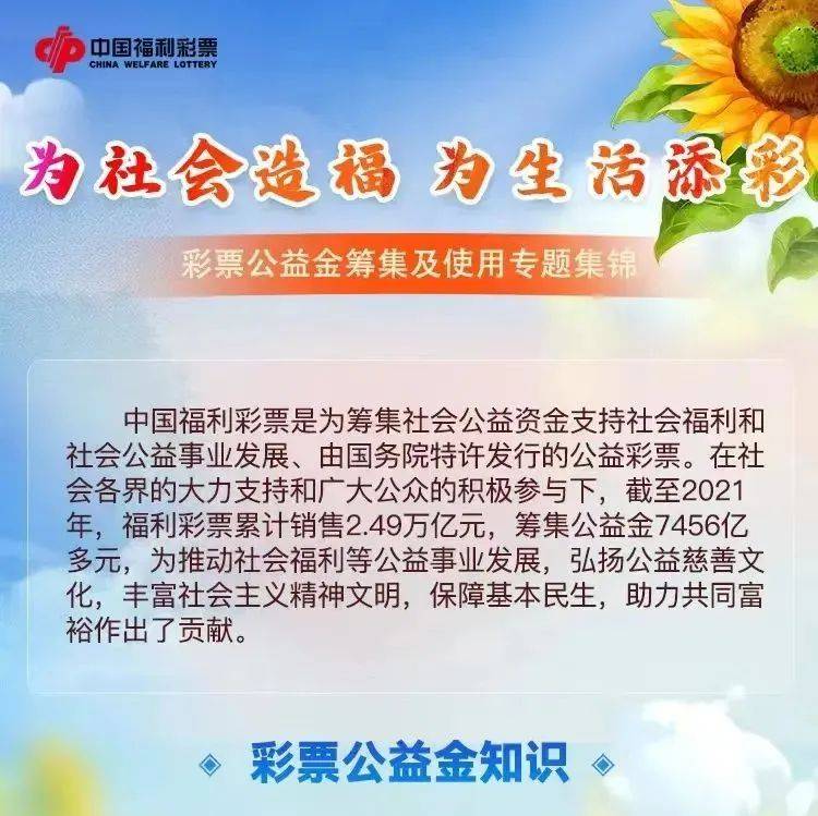 茶館奇遇:解碼‘天天彩好彩天天免費資料’的都市回響與理性思考