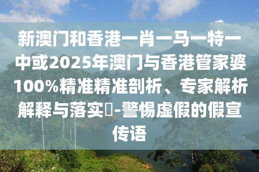 2025新澳門精準(zhǔn)免費(fèi)大全深度解析:獲取前瞻性數(shù)據(jù)與智慧決策的實(shí)用指南