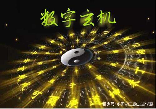 數字深淵的秘密對話:揭秘7777788888精準四肖的未知圖景