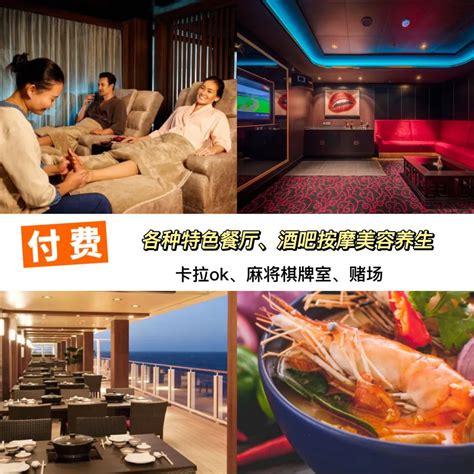 穿越時空的大三巴奇遇：解析“一肖二碼”免費公開的知識密碼
