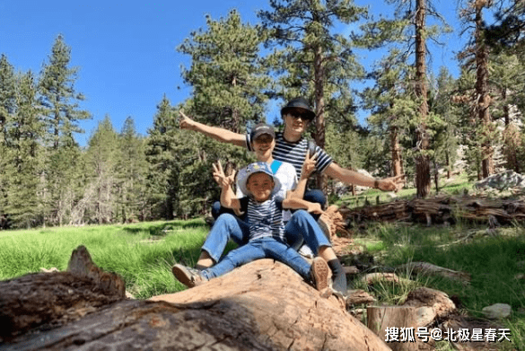 深度解析:探尋保劍鋒的父親是誰及其背后的隱私考量