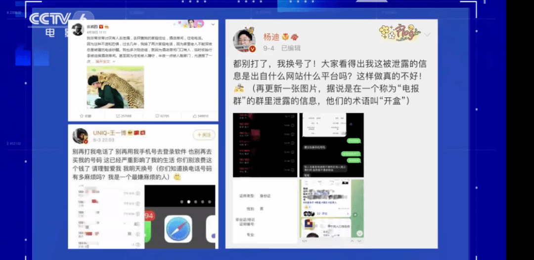 深度解析：趙子琪的爺爺是誰？探究公眾人物家庭信息背后的隱私與求知欲