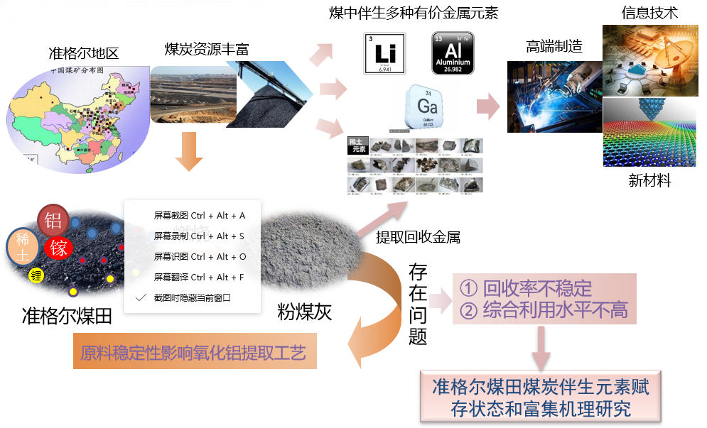 王中王493333中特大全：權威解讀與深度應用全攻略