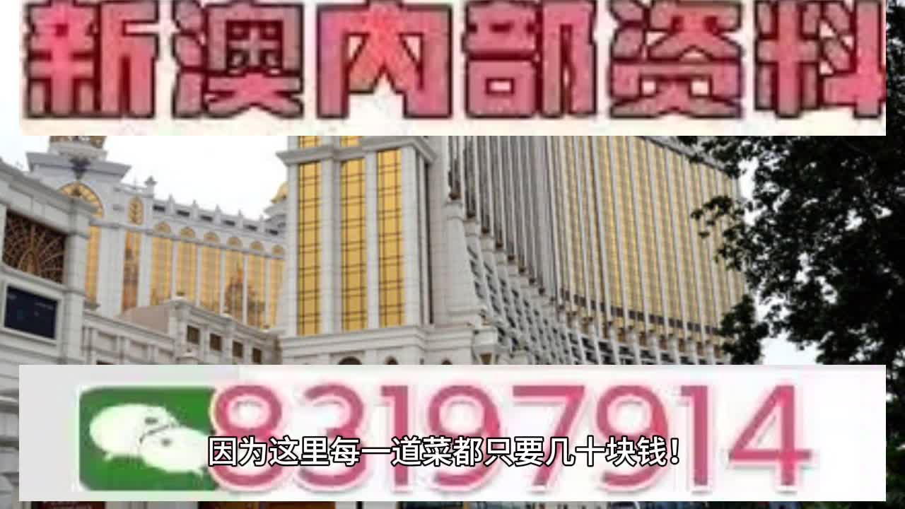 澳門六肖中特馬，探索與解讀，澳門六肖中特馬的探索與解讀指南