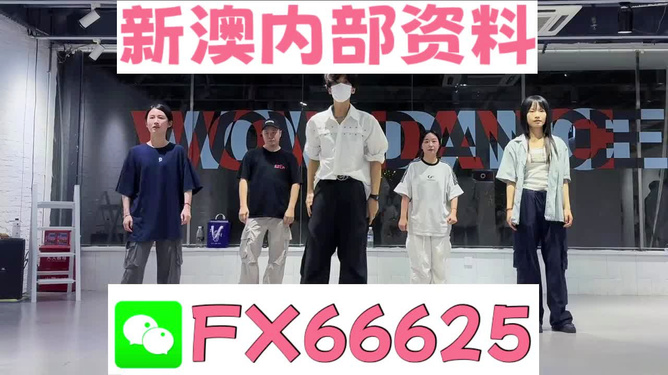 新澳天天開獎資料大全最新版詳解，新澳天天開獎資料大全最新版詳解及中獎秘籍