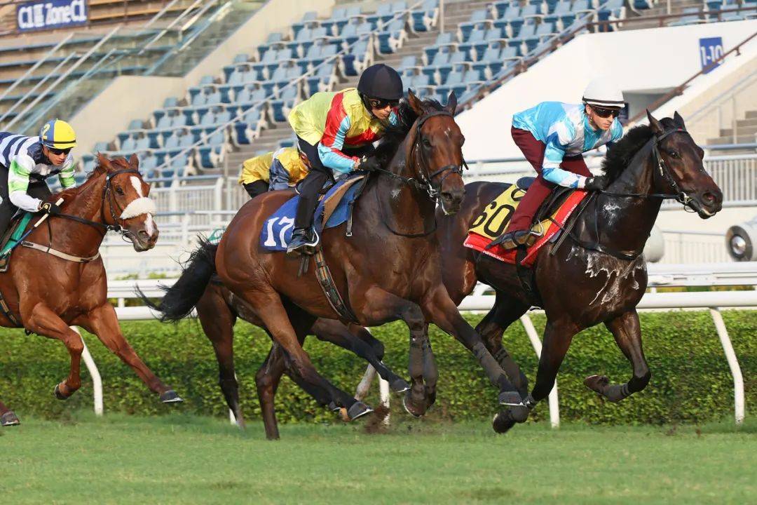 香港馬，77777與88888的傳奇故事，香港賽馬傳奇，77777與88888的傳奇篇章