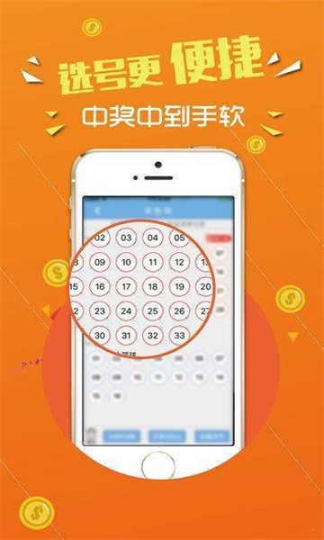王中王心水論壇，探索智慧之源的聚集地，王中王心水論壇，智慧之源的聚集地探索