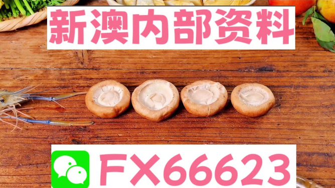 新澳全年免費資料大全，探索與收獲，新澳全年免費資料大全，探索之旅與收獲的時刻
