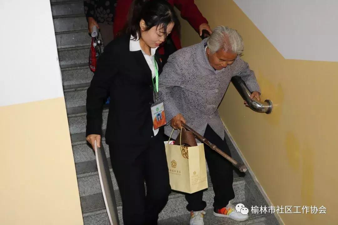 天天免費(fèi)資料彩票大全，探索彩票世界的奧秘與機(jī)遇，天天免費(fèi)資料彩票大全，揭秘彩票世界的奧秘與機(jī)遇