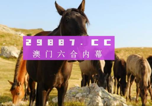 新澳門管家婆一特一中，探索現(xiàn)代博彩管理的典范，現(xiàn)代博彩管理典范，澳門管家婆一特一中探索之路