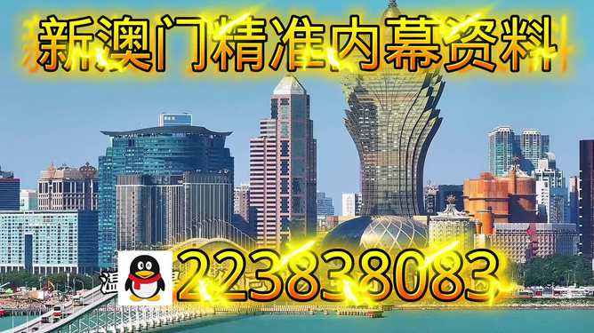 探索新澳門正版內(nèi)部，一個(gè)多元化的未來展望（至2025年），澳門未來展望，探索多元化發(fā)展之路至2025年