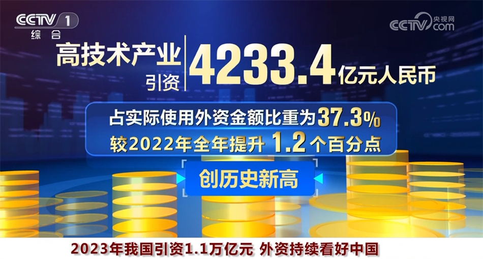 探索數(shù)字世界中的王中王，特點與亮點解析，數(shù)字世界中的王中王，特點與亮點深度解析