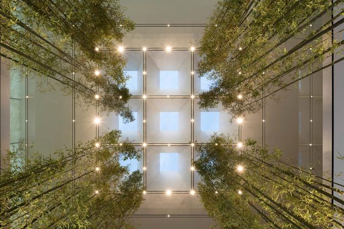 新澳門內(nèi)部精準公開的多元發(fā)展與活力展望，澳門多元發(fā)展的活力展望與內(nèi)部精準公開新動向
