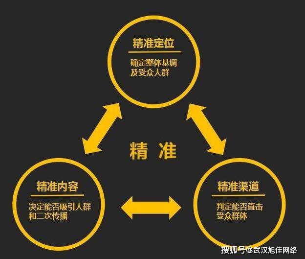 新奧精準(zhǔn)選免費提供，引領(lǐng)未來的智能決策之道，新奧精準(zhǔn)選引領(lǐng)智能決策新時代，免費開放，洞悉未來之道