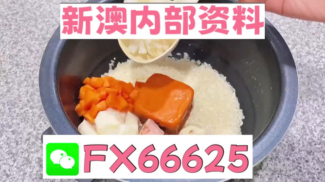 新奧精準免費資料提供，探索與啟示，新奧精準免費資料探索，啟示與分享