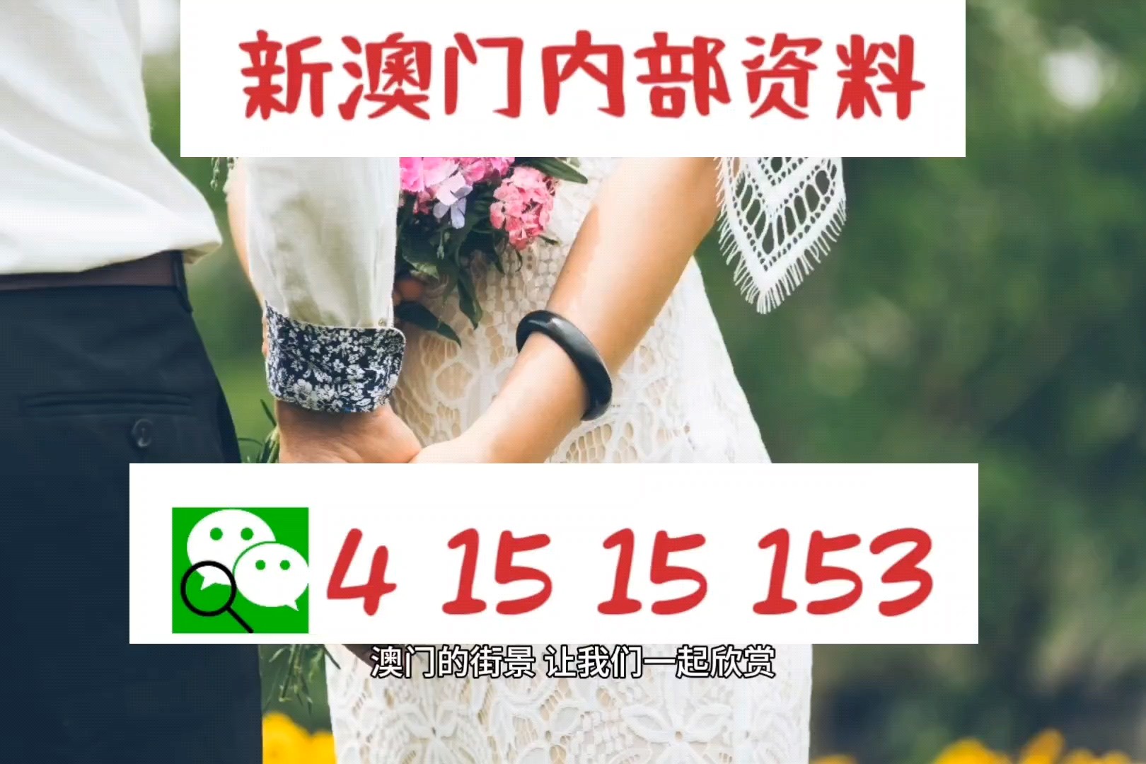 澳門六肖中特馬，探索與解讀，澳門六肖中特馬的探索與解讀指南