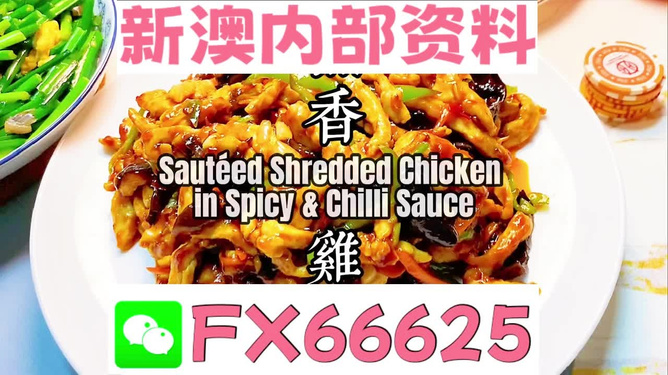 2025新奧精準(zhǔn)資料免費(fèi)大全，探索未來(lái)，助力成長(zhǎng)，2025新奧精準(zhǔn)資料免費(fèi)大全，探索未來(lái)助力成長(zhǎng)之路