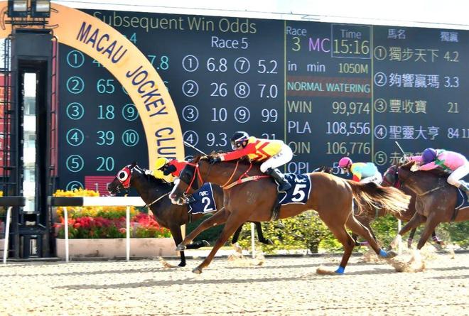 澳門馬免費(fèi)料期期公開，探索背后的真相與意義，澳門馬免費(fèi)料期期公開背后的真相與意義探索
