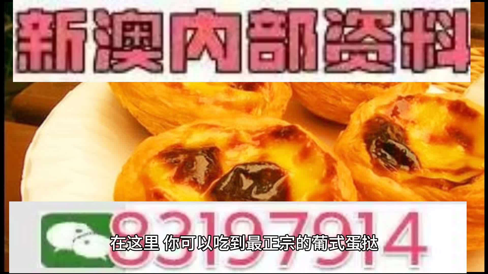 探索未來的澳門，新澳門中特網(wǎng)的發(fā)展與展望，澳門未來探索，新澳門中特網(wǎng)的發(fā)展展望