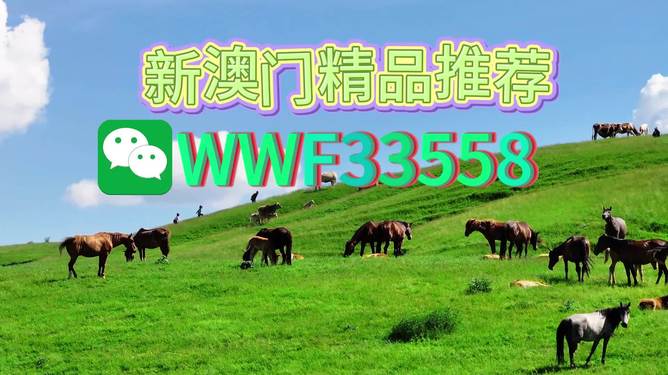 揭秘精準(zhǔn)四生肖，探尋數(shù)字組合77777與88888背后的奧秘，揭秘精準(zhǔn)四生肖與神秘?cái)?shù)字組合77777與88888的奧秘探索