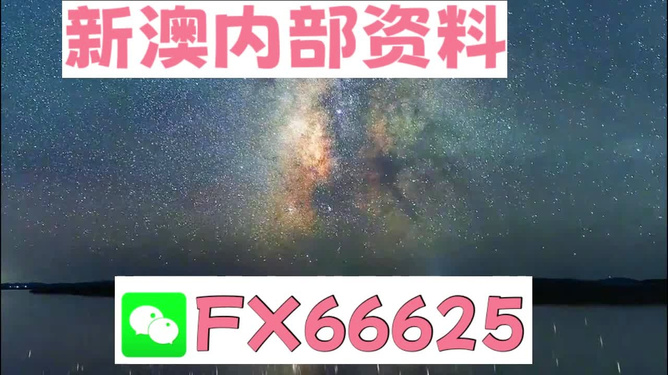 新澳天天開獎資料大全一，探索彩票世界的奧秘，新澳天天開獎資料大全一，揭秘彩票世界的神秘面紗
