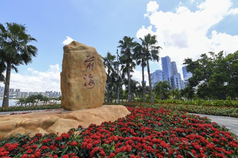 新澳門內(nèi)部精準(zhǔn)公開，探索與解讀，澳門內(nèi)部精準(zhǔn)解讀，探索與揭秘