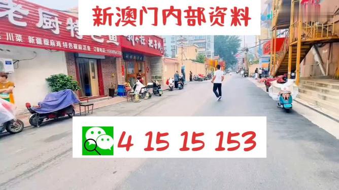新奧天天開好彩大全——邁向成功的關(guān)鍵所在，新奧天天開好彩大全，成功之關(guān)鍵所在