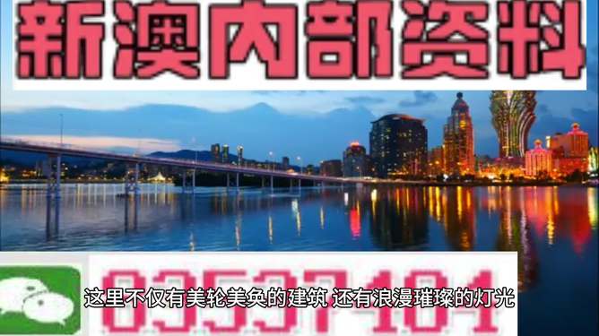 新澳新澳門正版資料的深度解析，澳門正版資料深度解析與解讀