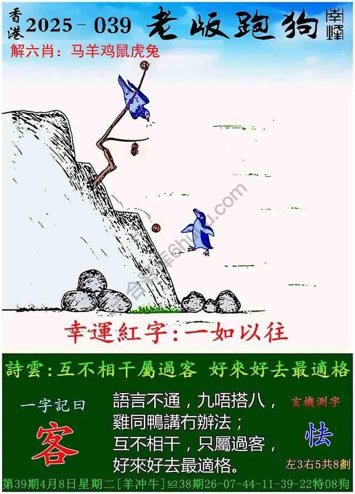 探索全新體驗，7777788888新版跑狗，探索全新跑狗體驗，7777788888新版來襲