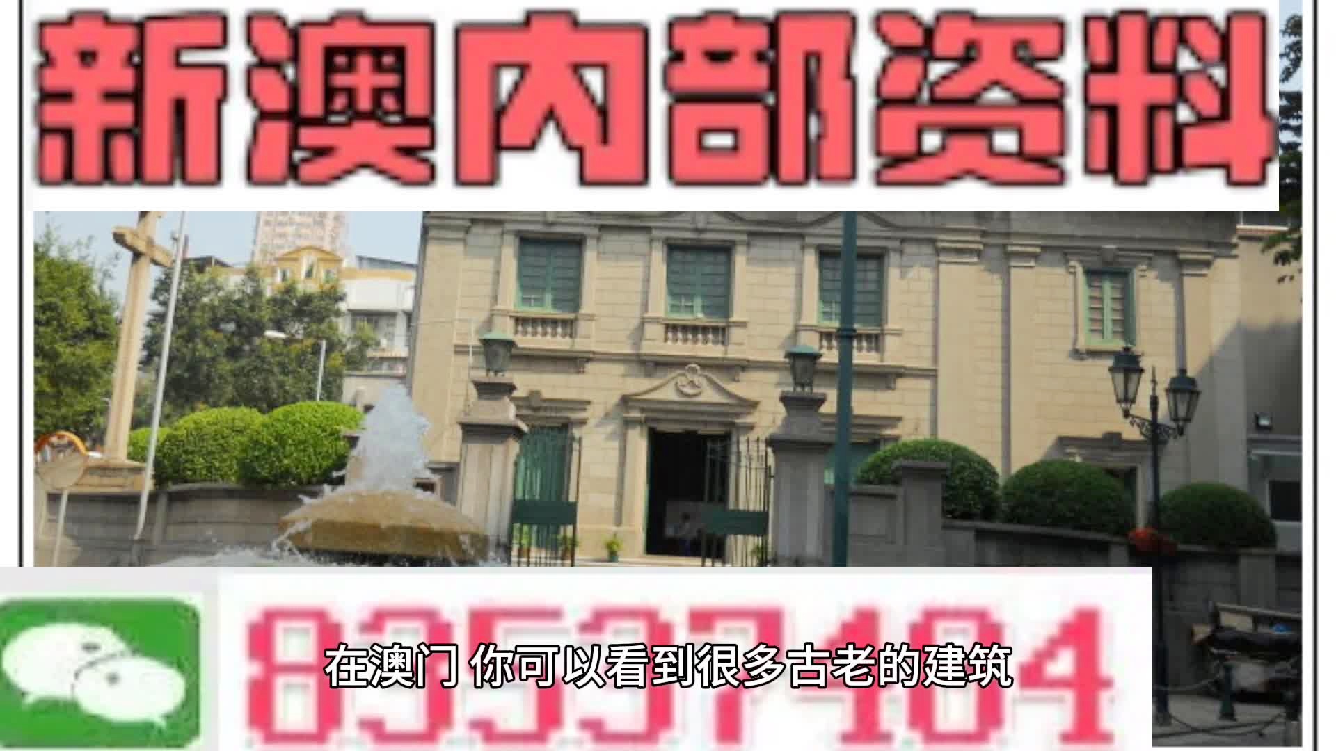 新門內(nèi)部免費(fèi)資料大全，探索知識的寶庫，新門內(nèi)部知識寶庫，免費(fèi)資料大全探索之旅
