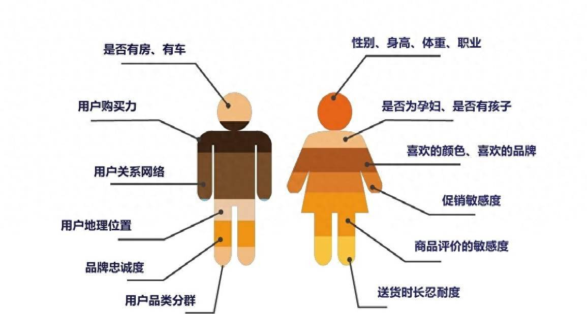白小姐精準免費四肖深度解析:探秘信息獲取與價值評估