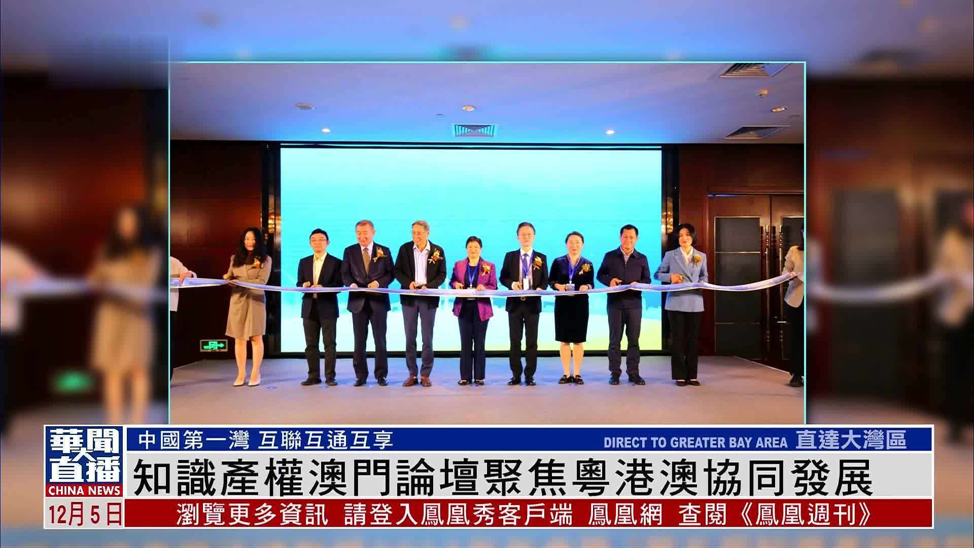 2025年新澳門正版內(nèi)部：深度解析與未來發(fā)展前瞻