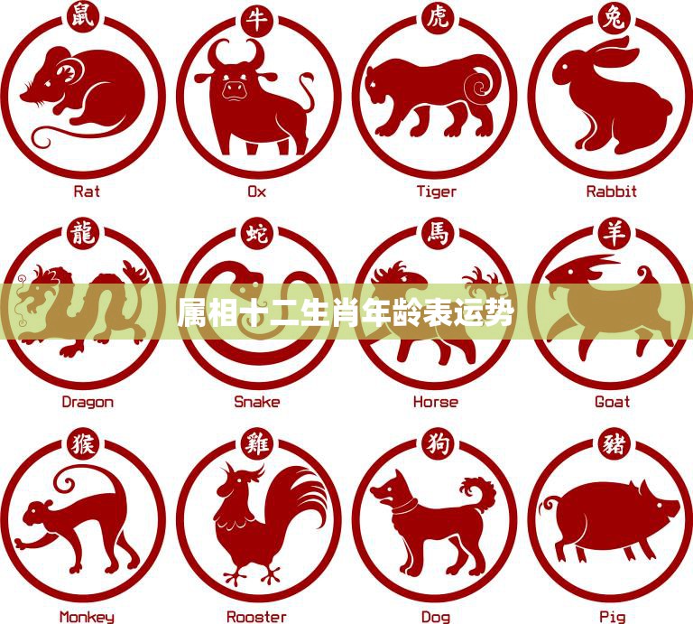 深度解析:探秘“77777888888三肖”的數(shù)字符號與生肖文化關聯(lián)