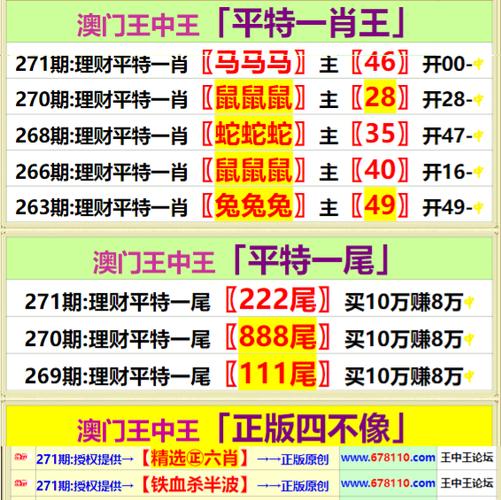 深度解析:王中王493333中特大全的價值與高效利用全攻略